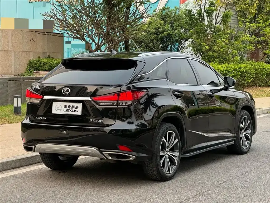 Lexus RX — фото 4