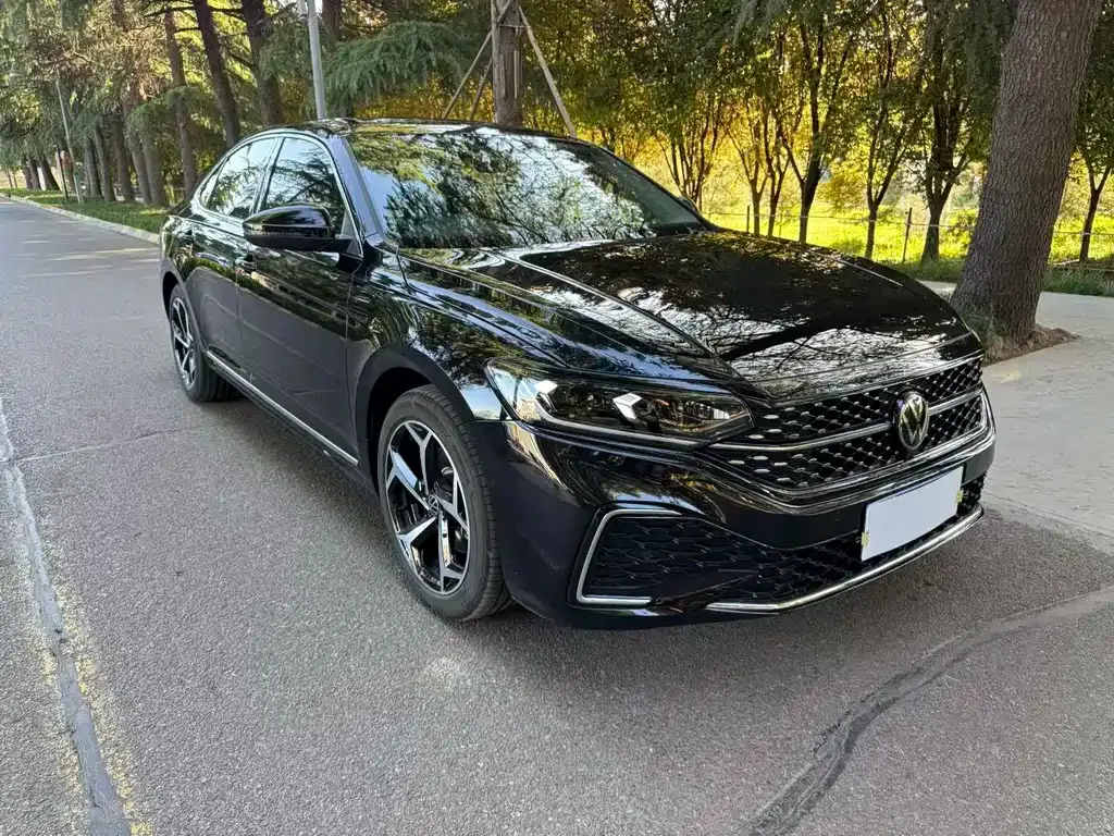 Volkswagen Passat — фото 6