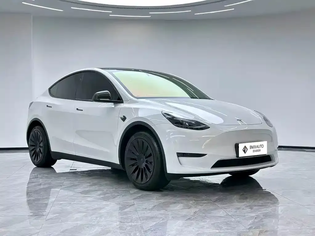 Tesla Model Y — фото 2
