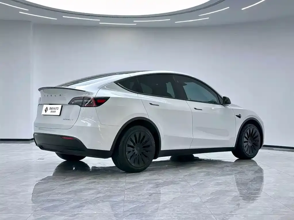 Tesla Model Y — фото 4