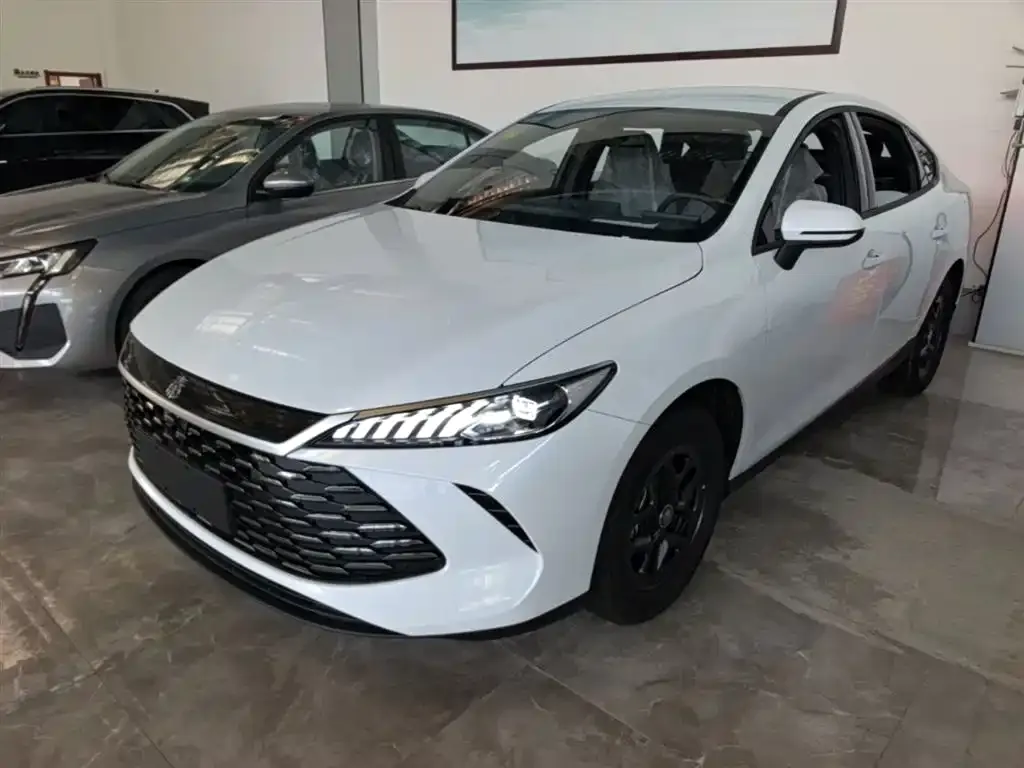 BYD Qin PLUS — фото 1