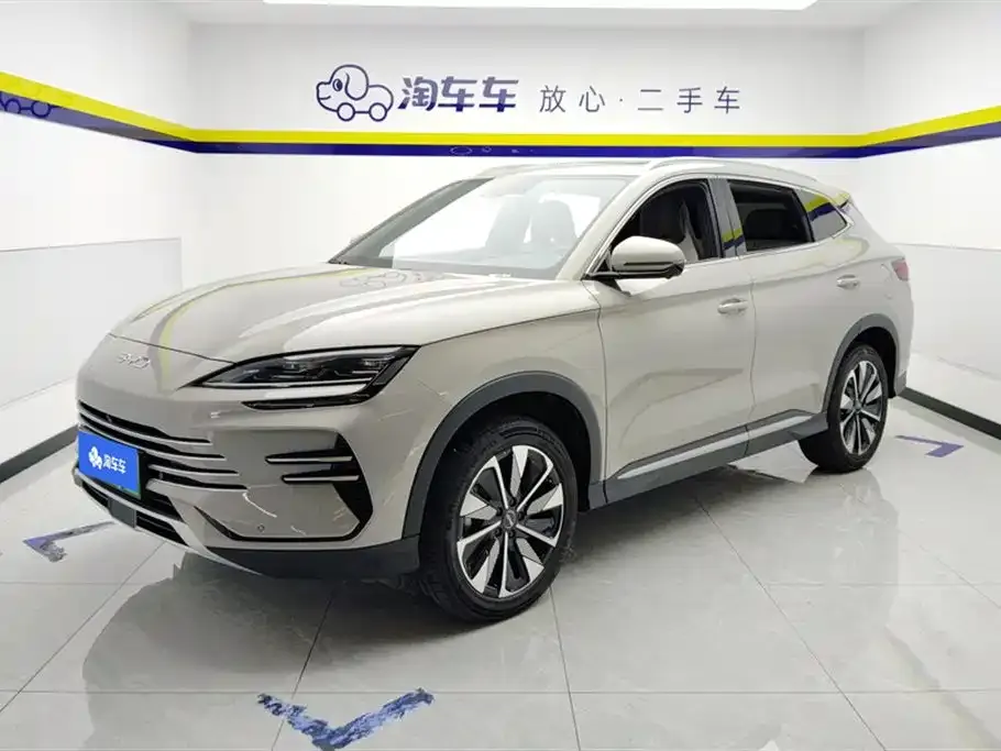 BYD PLUS New Energy — фото 1