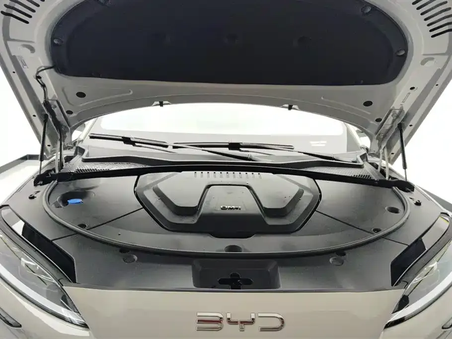 BYD PLUS New Energy — фото 6