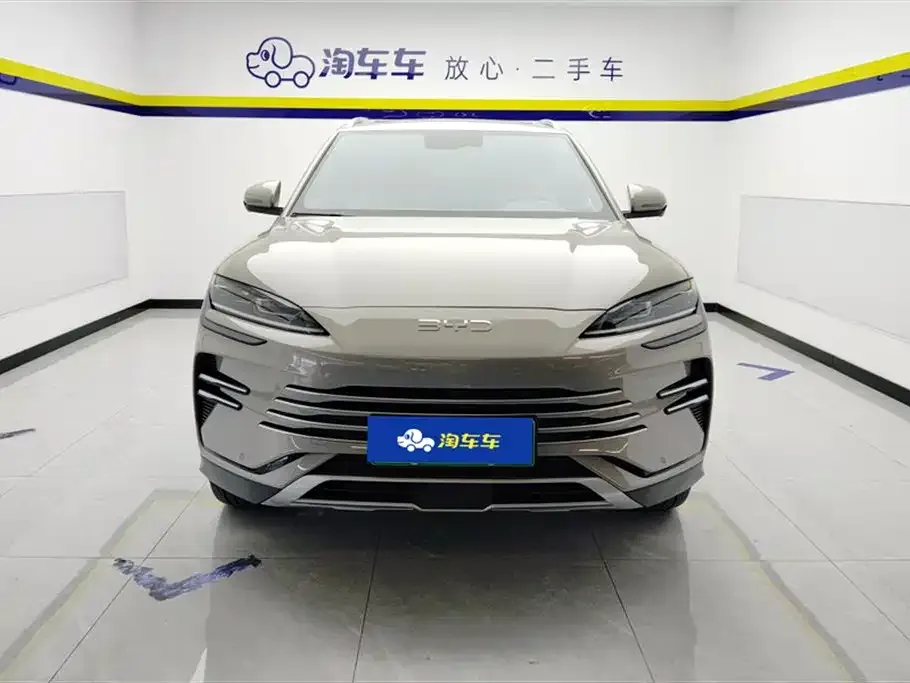BYD PLUS New Energy — фото 10