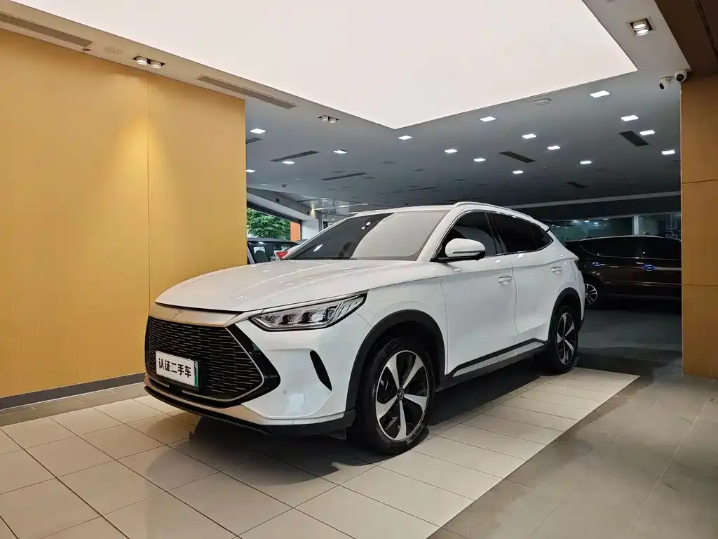BYD PLUS New Energy — фото 1
