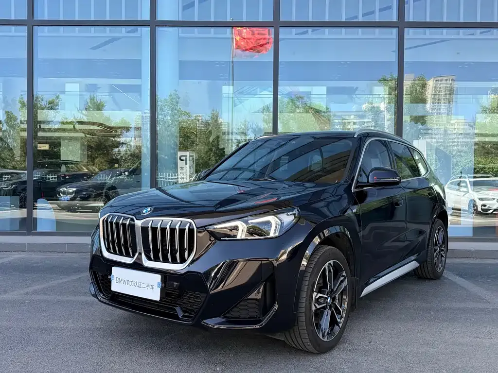 BMW X1 — фото 1