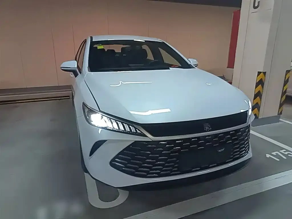 BYD Qin PLUS — фото 3