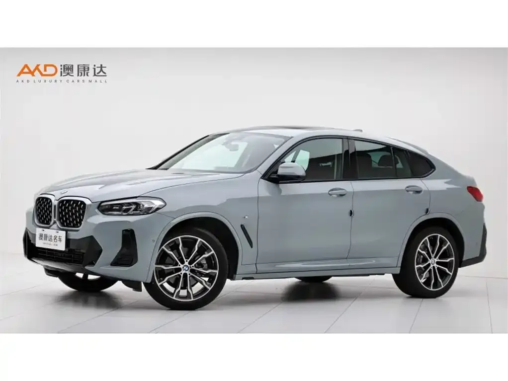 BMW X4 — фото 1