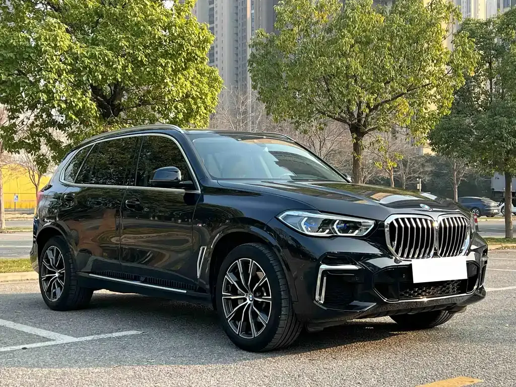 BMW X5 — фото 5
