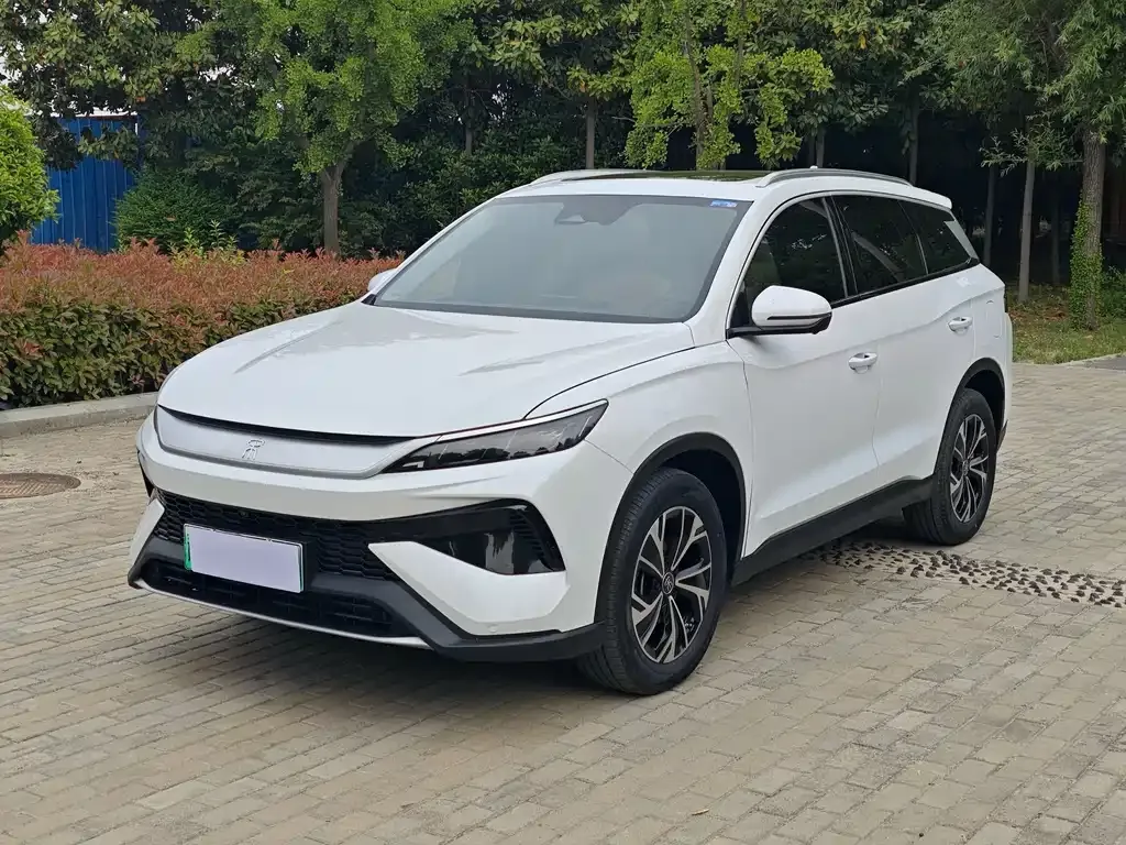 BYD Pro New Energy — фото 9