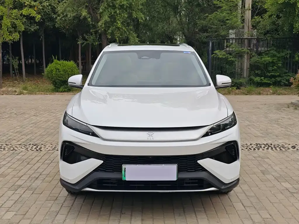 BYD Pro New Energy — фото 4