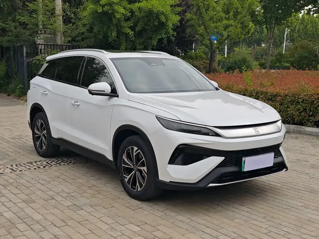 BYD Pro New Energy — фото 8