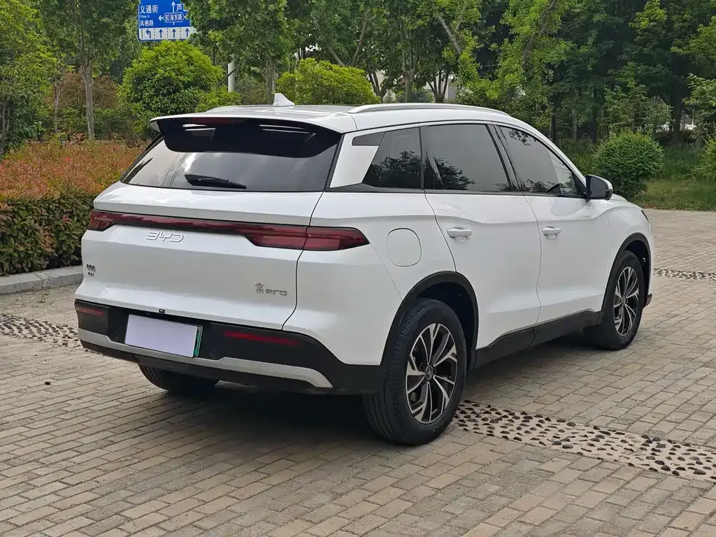 BYD Pro New Energy — фото 10