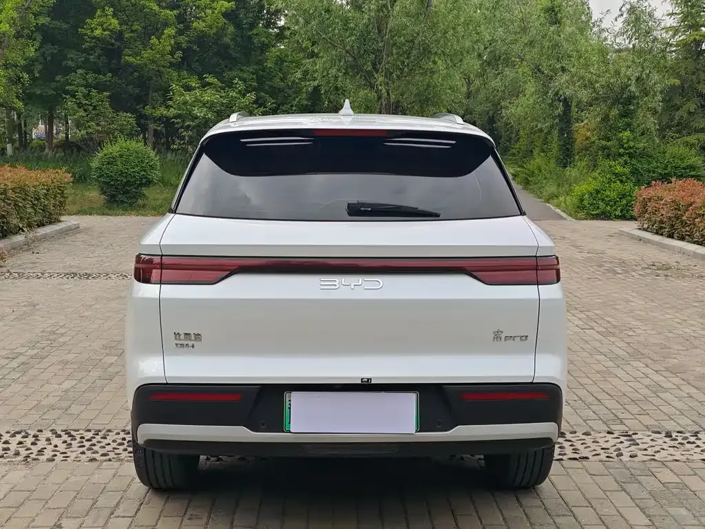 BYD Pro New Energy — фото 2