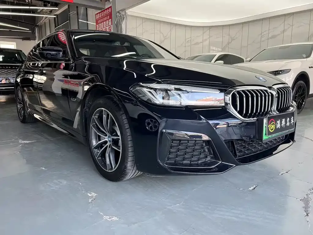 BMW 5 Series New Energy — фото 9