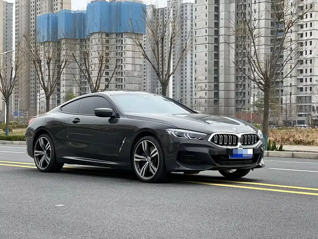BMW 8 Series — фото 7