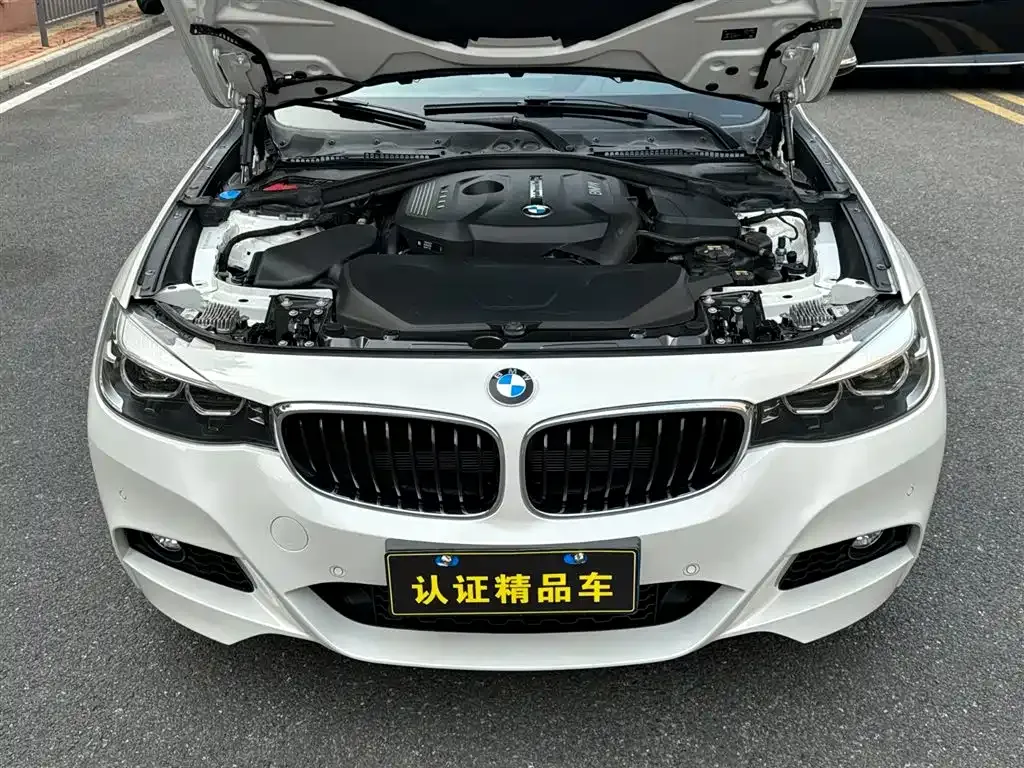 BMW 3 Series GT — фото 3