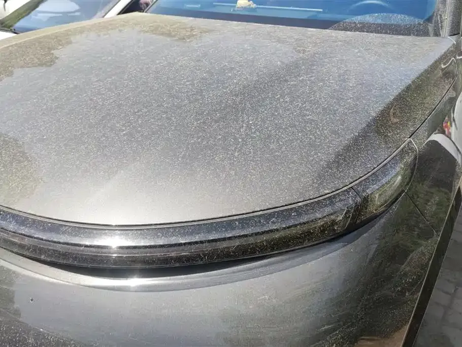 Li Auto L8 — фото 9