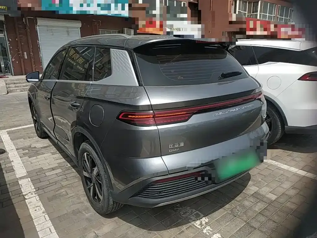 BYD Pro New Energy — фото 9
