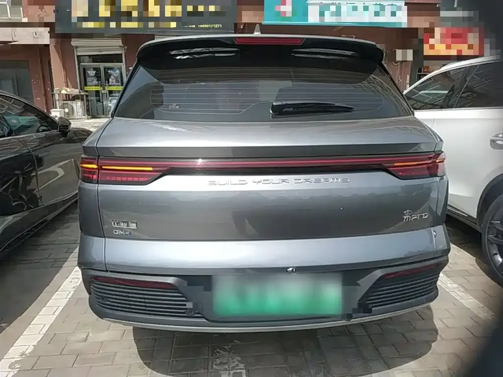BYD Pro New Energy — фото 5