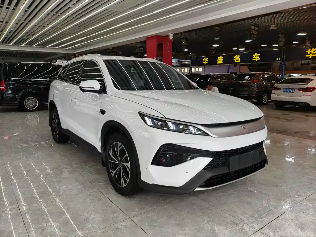 BYD Pro New Energy — фото 10