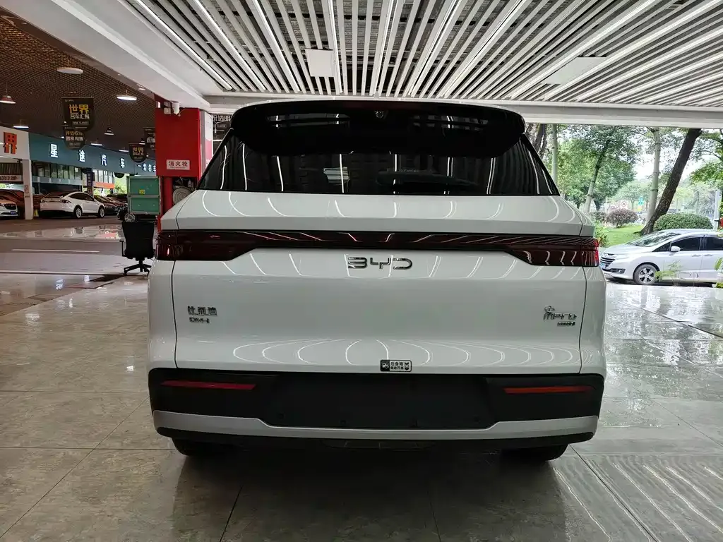 BYD Pro New Energy — фото 7