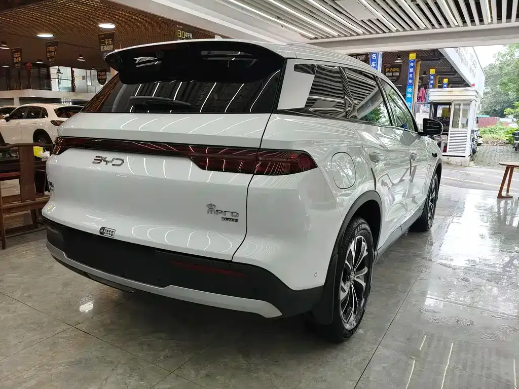 BYD Pro New Energy — фото 2