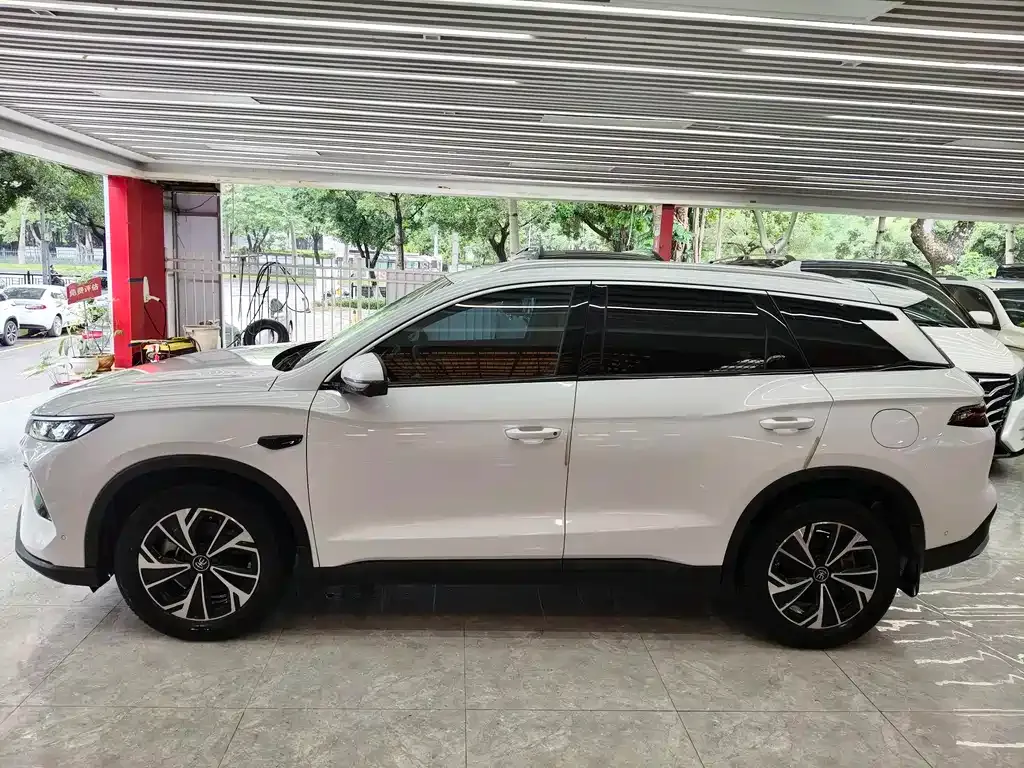 BYD Pro New Energy — фото 9