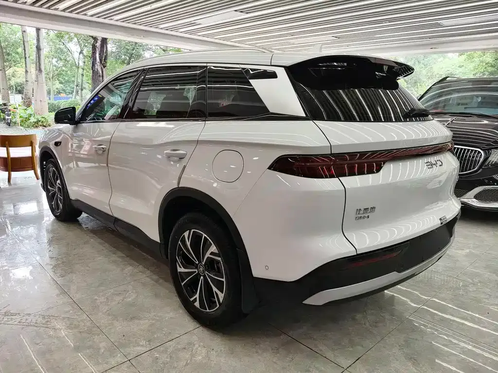 BYD Pro New Energy — фото 8