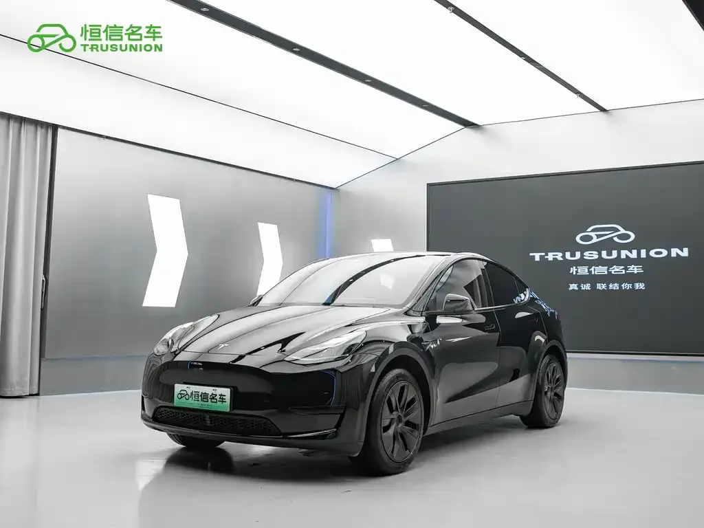 Tesla Model Y — фото 1