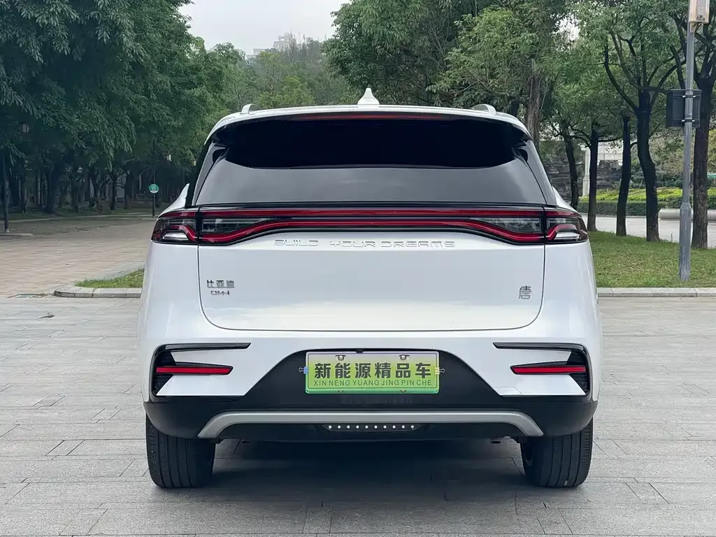 BYD Tang New Energy — фото 5