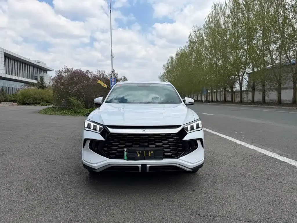 BYD Pro New Energy — фото 8