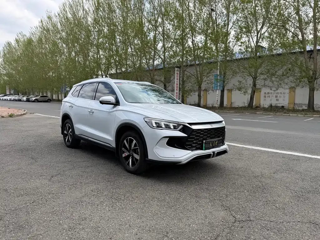 BYD Pro New Energy — фото 6