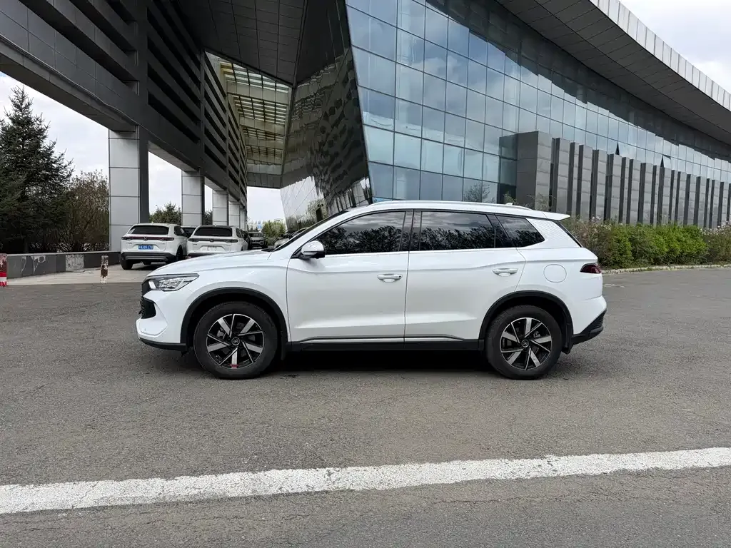 BYD Pro New Energy — фото 3