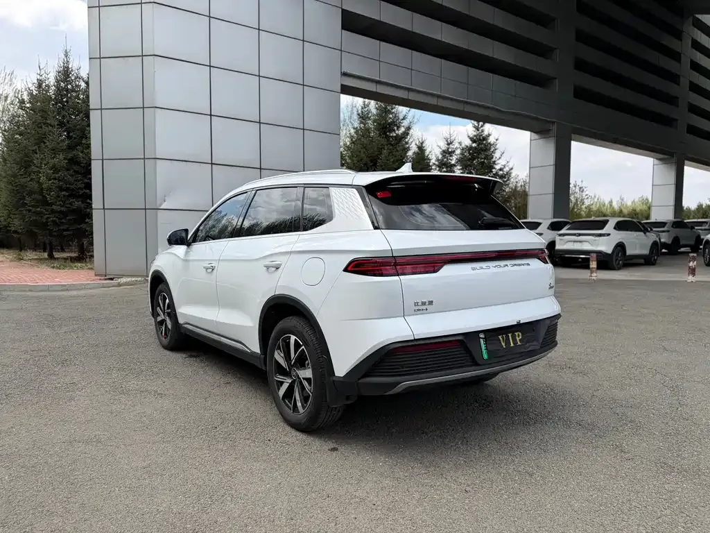 BYD Pro New Energy — фото 7