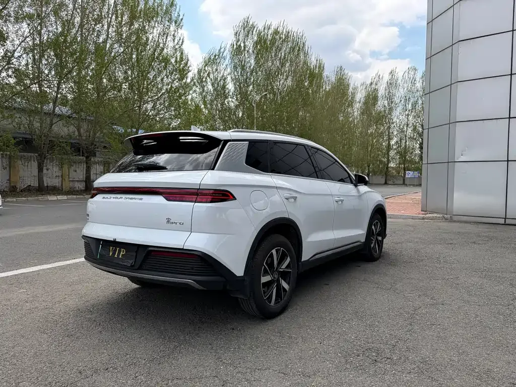 BYD Pro New Energy — фото 10