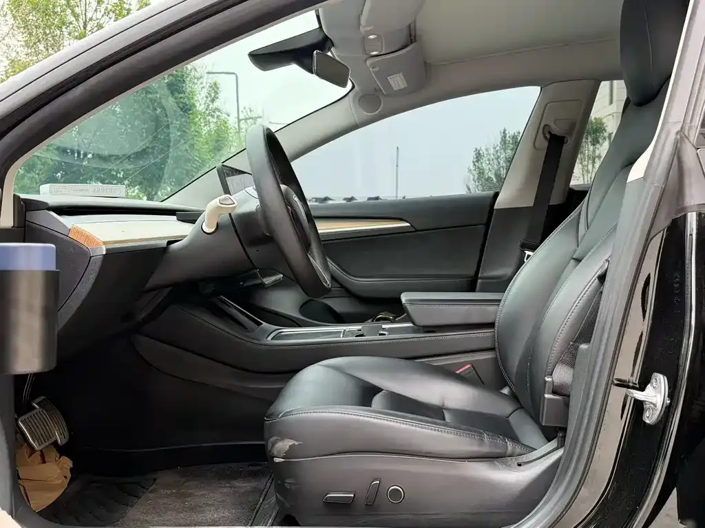 Tesla Model 3 — фото 3