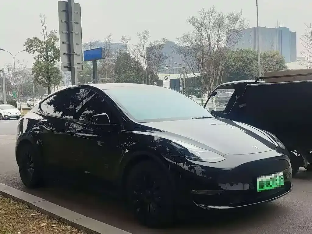 Tesla Model Y — фото 2