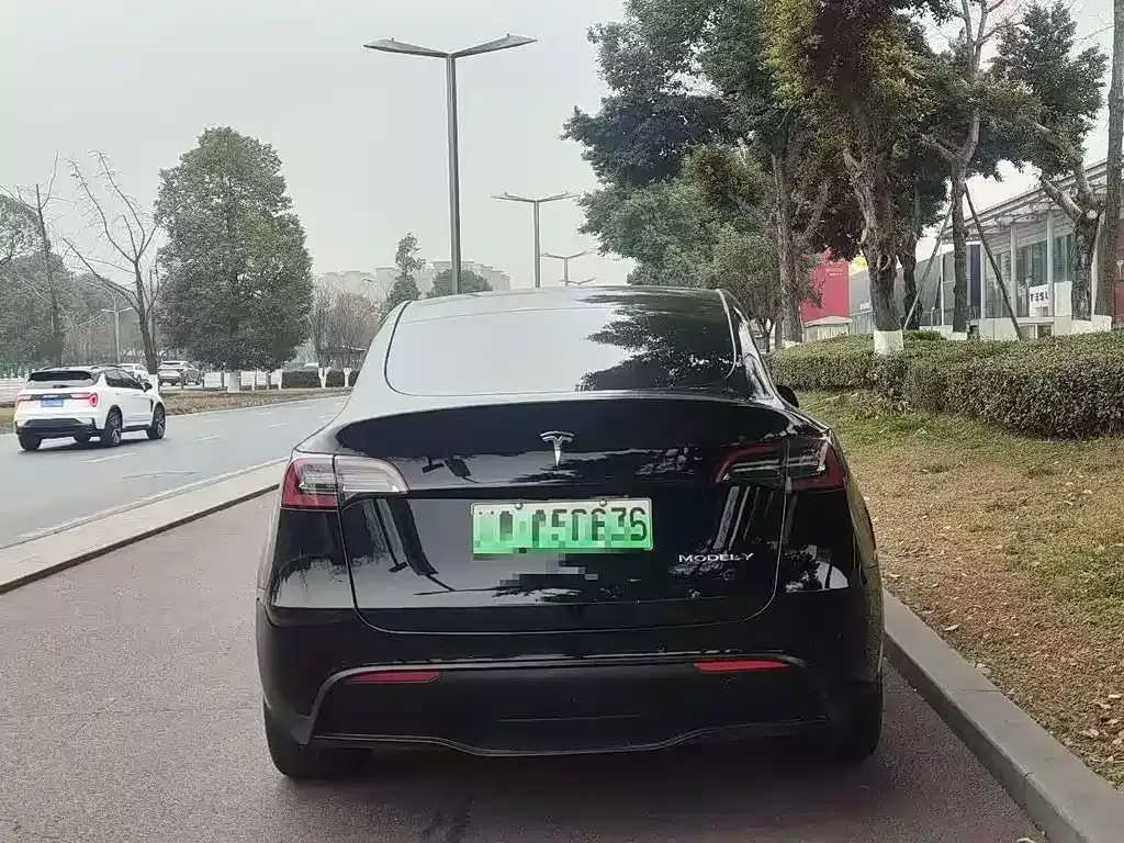Tesla Model Y — фото 3