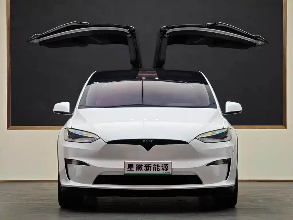 Tesla Model X — фото 3