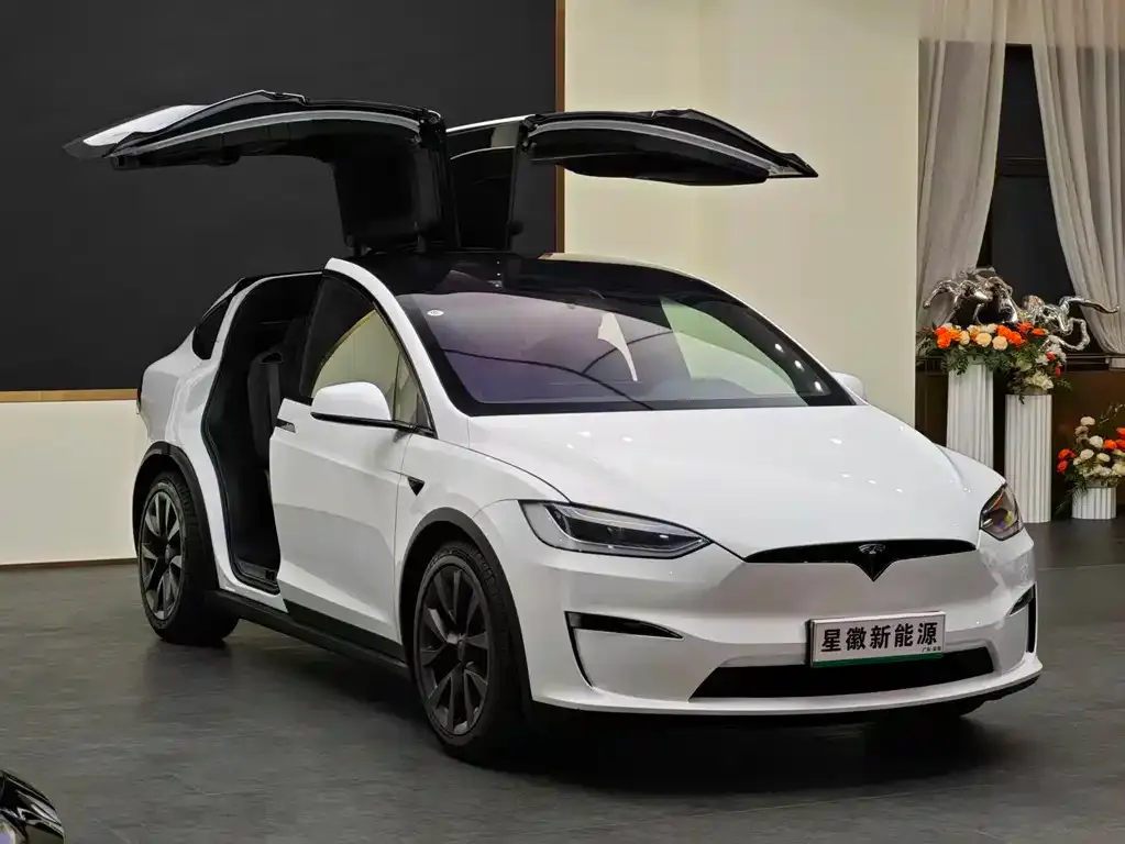 Tesla Model X — фото 5