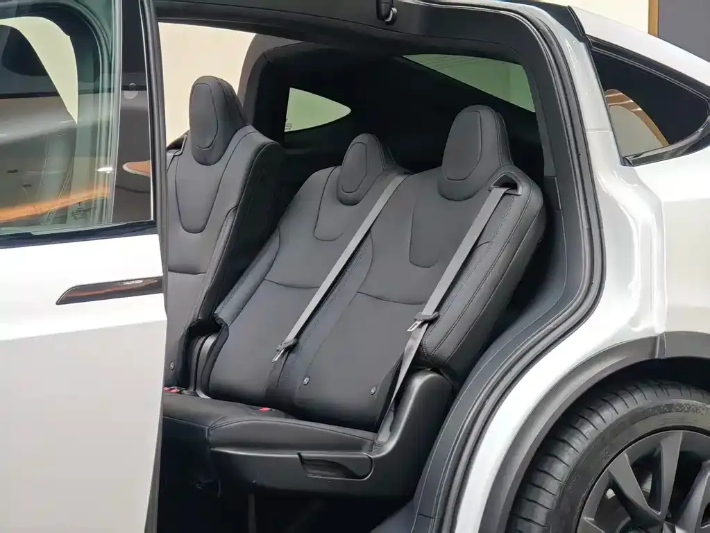 Tesla Model X — фото 10