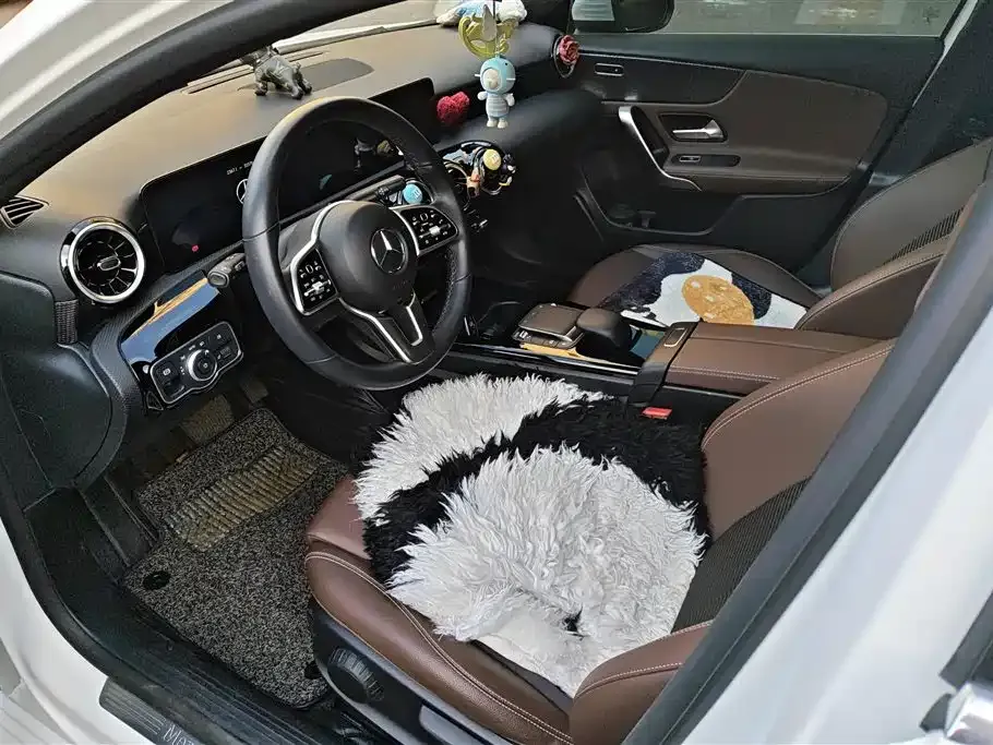 Mercedes-Benz A-Class (Import) — фото 5