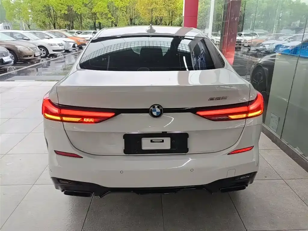 BMW 2 Series (Import) — фото 6