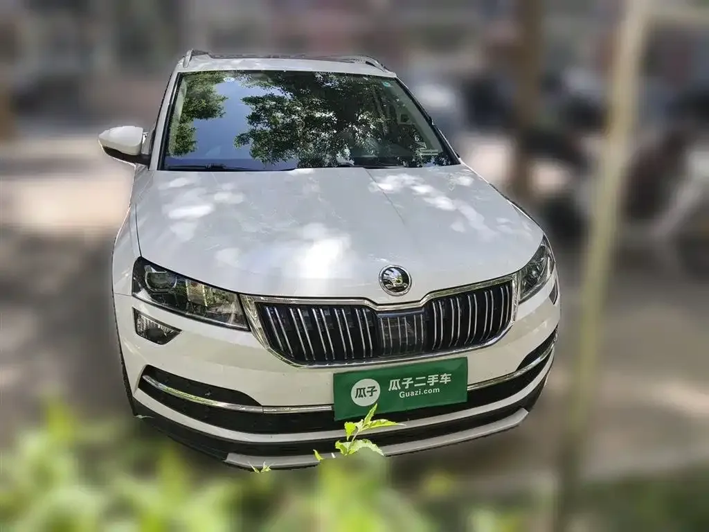 Skoda Karoq — фото 6