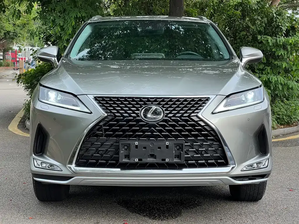 Lexus RX — фото 10