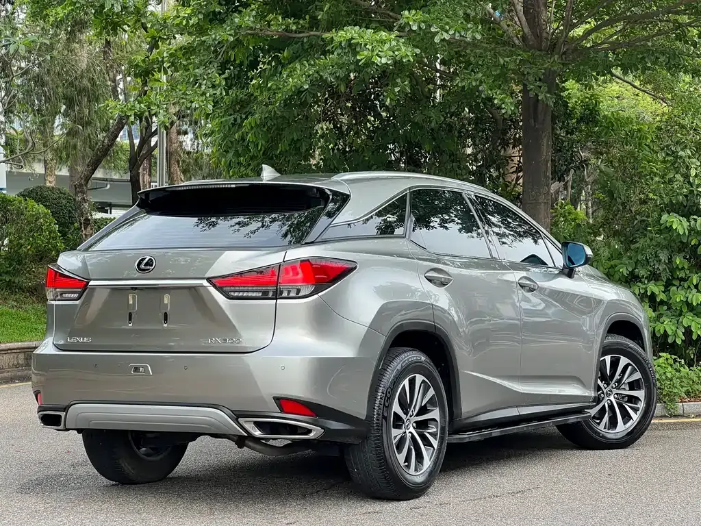 Lexus RX — фото 8