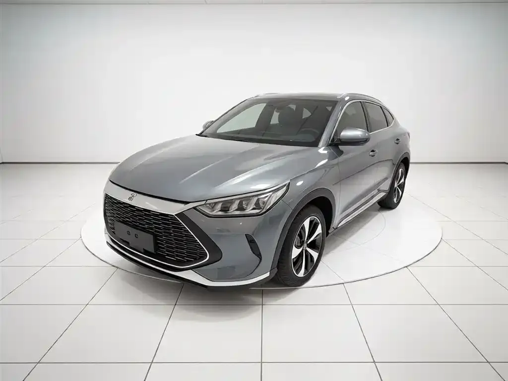 BYD PLUS New Energy — фото 1
