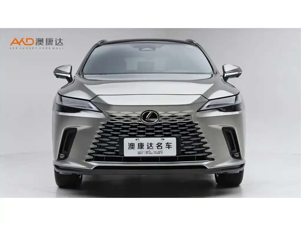 Lexus RX New Energy — фото 8