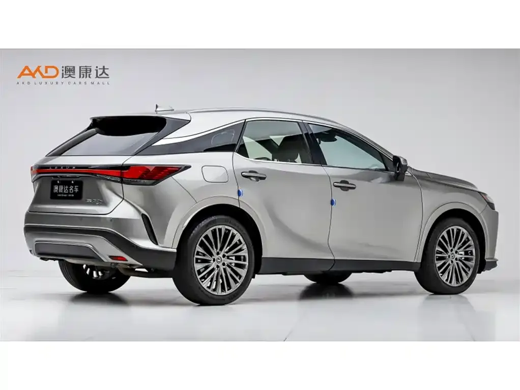 Lexus RX New Energy — фото 6